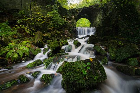 Bärengarten in Hohnstein